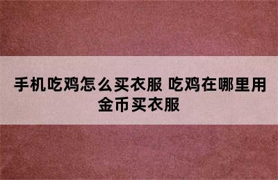 手机吃鸡怎么买衣服 吃鸡在哪里用金币买衣服